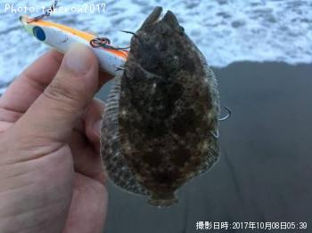 ¥Ò¥é¥á¡Ê¥½¥²¡Ë