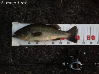 �֥�å��Х�