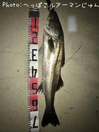 �����Х�