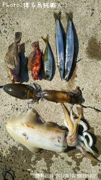 �����ꥤ�������ޥ���������������