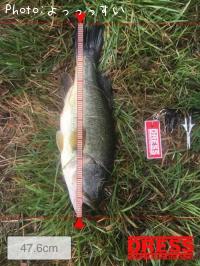 �֥�å��Х�