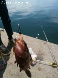 �����ϥ�