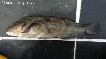 �����ʥ�