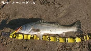 �����Х�