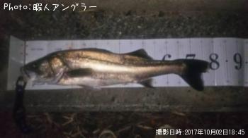 �����Х�