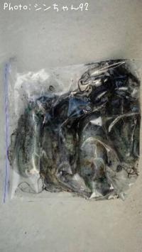 �����ꥤ��