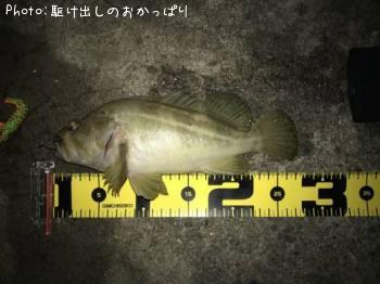 ���ޥ���