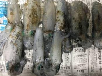 �����ꥤ��