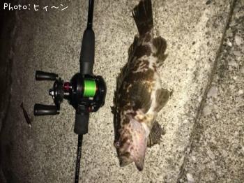 �����Υ���Х�