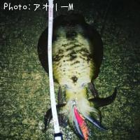 ¥¢¥ª¥ê¥¤¥«