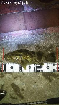 �����Υ���Х�