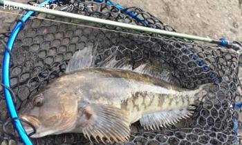 �����ʥ�