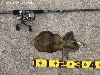 �����ꥤ��