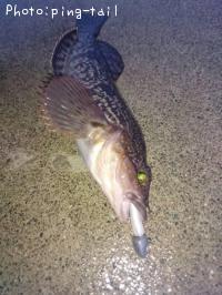 �����ʥ�