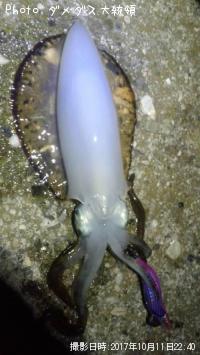 �����ꥤ��