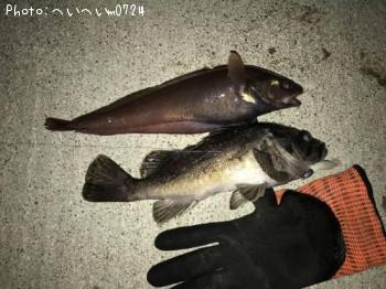 �����������ɥ�