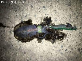 �����ꥤ��