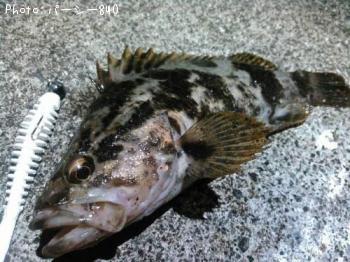 �����Υ���Х�