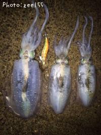 �����ꥤ��