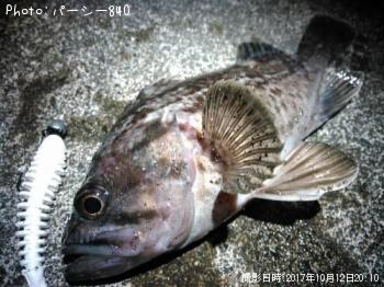 �����Υ���Х�