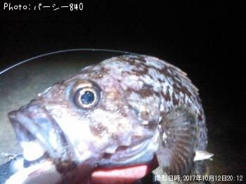 �����Υ���Х�