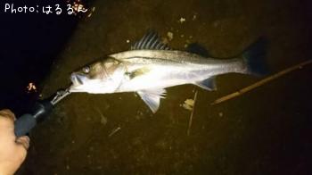 �����Х�