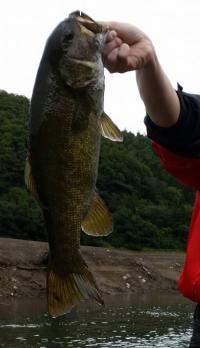 ���⡼��ޥ����Х�