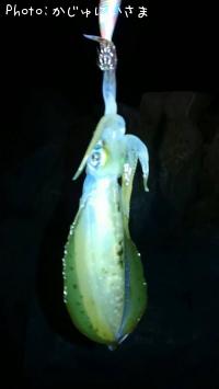 �����ꥤ��