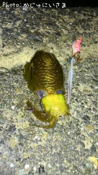 �����ꥤ��