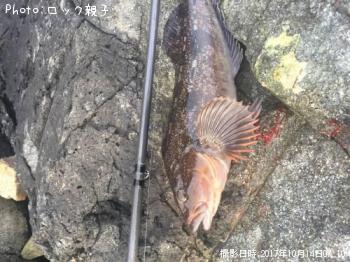 �����ʥ�