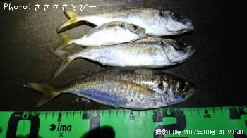 ��������Х�