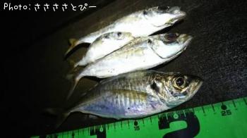 ��������Х�