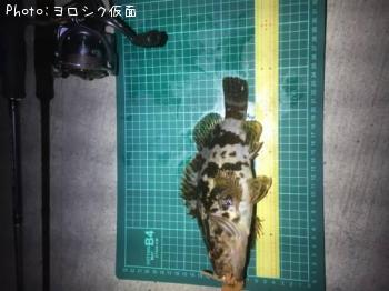 �����Υ���Х�