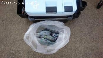 �����ꥤ��