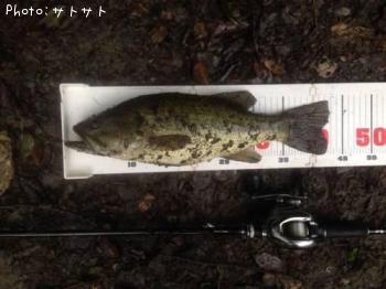 ¥Ö¥é¥Ã¥¯¥Ð¥¹