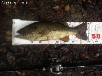 �֥�å��Х�