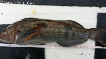 �����ʥ�