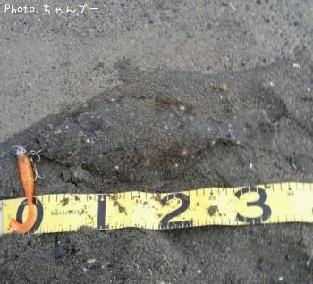 ¥Ò¥é¥á¡Ê¤½¤²¡Ë