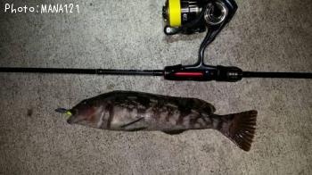 �����ʥ�