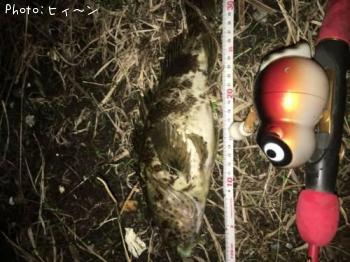 �����Υ���Х�