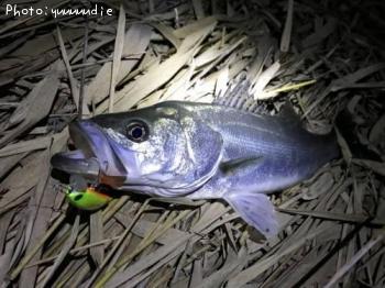 �����Х�