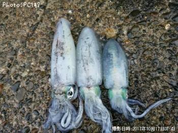 �����ꥤ��