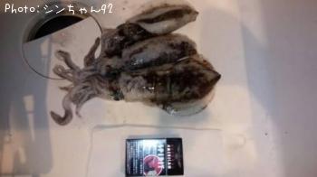 �����ꥤ��