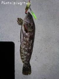 �����ʥ�