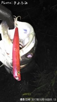 �����Х�