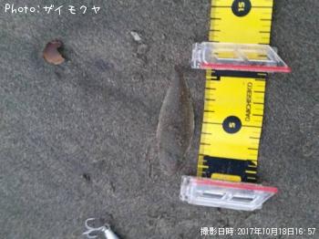 �����ӥ��