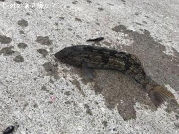 �����ʥ�