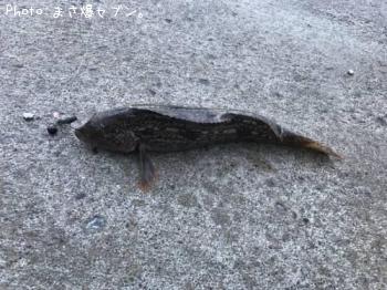 �����ʥ�