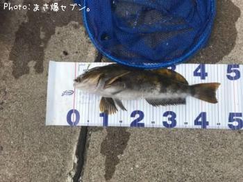 �����ʥ�