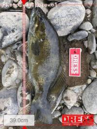 �֥�å��Х�